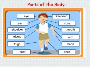 Parts of the Body eye ear forehead nose
