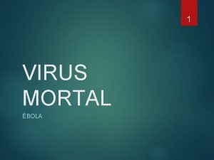 1 VIRUS MORTAL BOLA QU ES EL BOLA