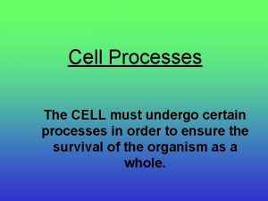 Cell Processes The CELL must undergo certain processes