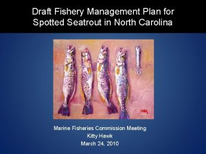 Draft Fishery Management Plan for Spotted Seatrout in