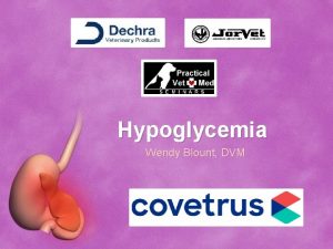 Hypoglycemia Wendy Blount DVM DDx Fasting Hypoglycemia 60