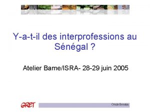 Yatil des interprofessions au Sngal Atelier BameISRA 28