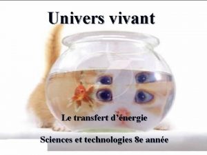 Univers vivant Le transfert dnergie Sciences et technologies