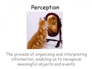 Perception The process of organizing and interpreting information