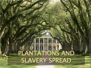 PLANTATIONS AND SLAVERY SPREAD The Cotton Boom The