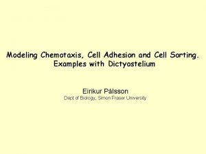 Modeling Chemotaxis Cell Adhesion and Cell Sorting Examples