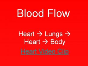 Blood Flow Heart Lungs Heart Body Heart Video