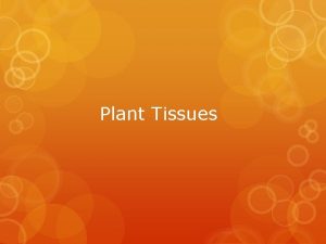 Plant Tissues Plant Tissues There are 3 types