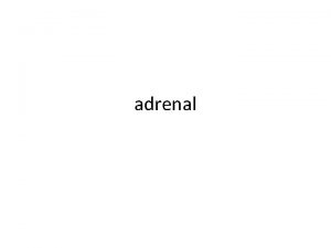 adrenal embryology The adrenal or suprarenal glands are