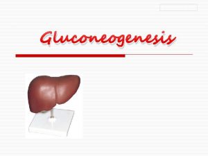 Sacotra Island Jemen Gluconeogenesis Blood glucose o Optimal