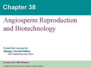 Chapter 38 Angiosperm Reproduction and Biotechnology Power Point