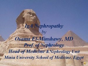 Ig A Nephropathy by Osama ElMinshawy MD Prof