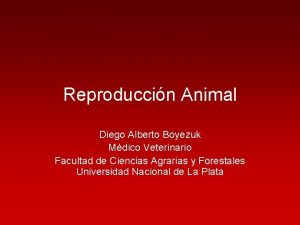 Reproduccin Animal Diego Alberto Boyezuk Mdico Veterinario Facultad