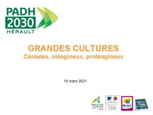 GRANDES CULTURES Crales olagineux protagineux 19 mars 2021