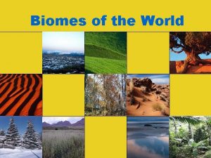 Biomes of the World What are biomes BIOMES