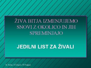 IVA BITJA IZMENJUJEMO SNOVI Z OKOLICO IN JIH