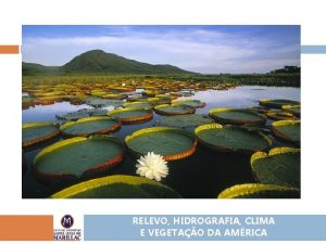 RELEVO HIDROGRAFIA CLIMA E VEGETAO DA AMRICA Fatores