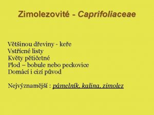 Zimolezovit Caprifoliaceae Vtinou deviny kee Vstcn listy Kvty