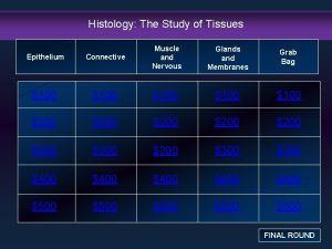 Histology The Study of Tissues Epithelium Connective Muscle
