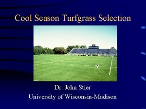 Cool Season Turfgrass Selection Dr John Stier University