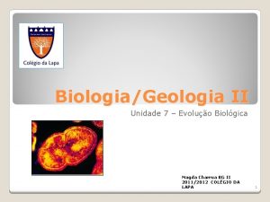 BiologiaGeologia II Unidade 7 Evoluo Biolgica Magda Charrua