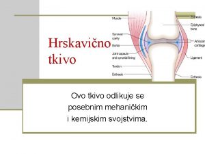 Hrskavino tkivo Ovo tkivo odlikuje se posebnim mehanikim