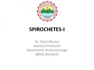 SPIROCHETESI Dr Mohit Bhatia Assistant Professor Department of