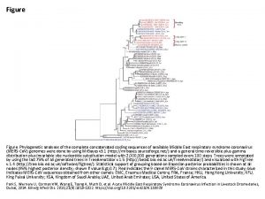 Figure Phylogenetic analyses of the complete concatenated coding