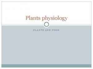 Plants physiology PLANTS AND FOOD Photosynthesis Green plants