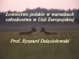 owiectwo polskie w warunkach czonkostwa w Unii Europejskiej
