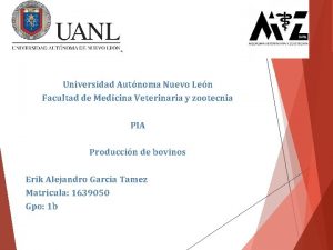 Universidad Autnoma Nuevo Len Facultad de Medicina Veterinaria