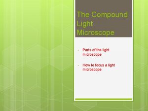 The Compound Light Microscope Parts of the light