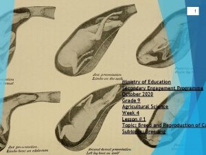 1 Ministry of Education Secondary Engagement Programme October