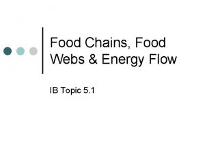 Food Chains Food Webs Energy Flow IB Topic