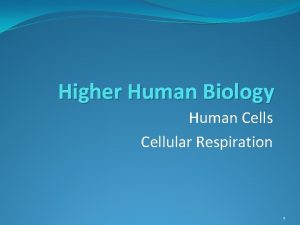 Higher Human Biology Human Cells Cellular Respiration 1