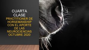 CUARTA CLASE PRACTITIONER DE HORSEMANSHIP CON EL APORTE