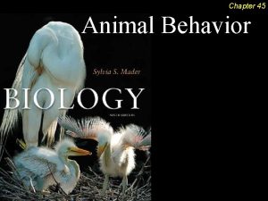 Chapter 45 Animal Behavior Animal Behavior Outline Nature