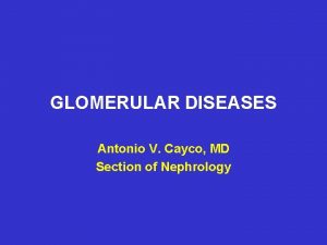 GLOMERULAR DISEASES Antonio V Cayco MD Section of