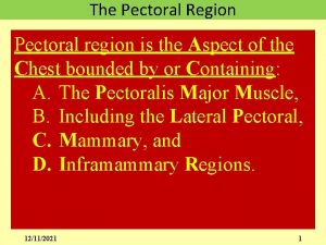 The Pectoral Region Pectoral region is the Aspect