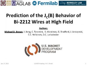 Prediction of the JCB Behavior of Bi2212 Wires