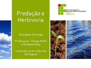 Predao e Herbivoria Disciplina Ecologia Professores Thiago Ruffo