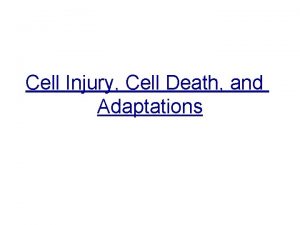 Cell Injury Cell Death and Adaptations Cell adaptation