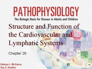 Structure and Function of the Cardiovascular and Lymphatic