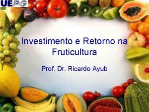 Investimento e Retorno na Fruticultura Prof Dr Ricardo