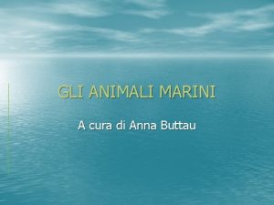 GLI ANIMALI MARINI A cura di Anna Buttau