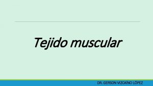 Tejido muscular DR GERSON VIZCANO LPEZ Tejido Muscular