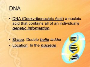 DNA DNA Deoxyribonucleic Acid a nucleic acid that