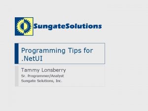 Programming Tips for Net UI Tammy Lonsberry Sr