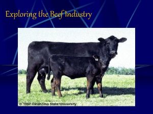 Exploring the Beef Industry Terms Cattle feeders Conformation