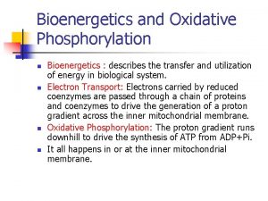 Bioenergetics and Oxidative Phosphorylation n n Bioenergetics describes